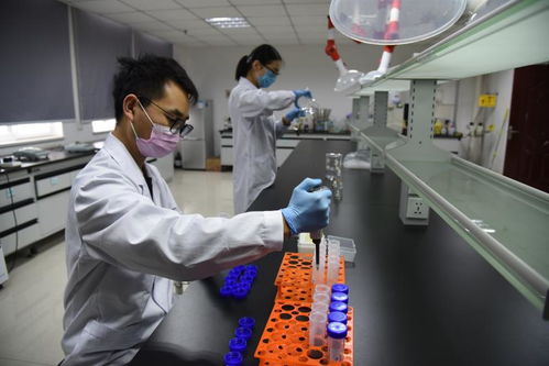 以技术为盾，护航人民健康 记开封市食药检验所的疫情逆行者