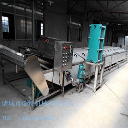 诸城瑞特 专业黄桃果酱全自动不锈钢巴氏杀菌机制造商